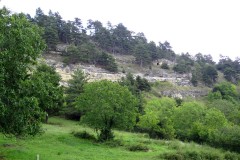 etape1_clermont_ferrand_olloix67
